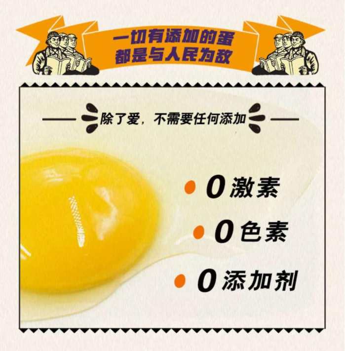 每天一個(gè)土元雞蛋 營養(yǎng)又健康